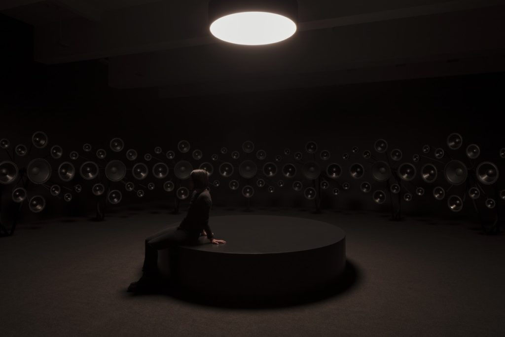 Strange Highlights of the Art Gallery of Ontario - Liisa Wanders